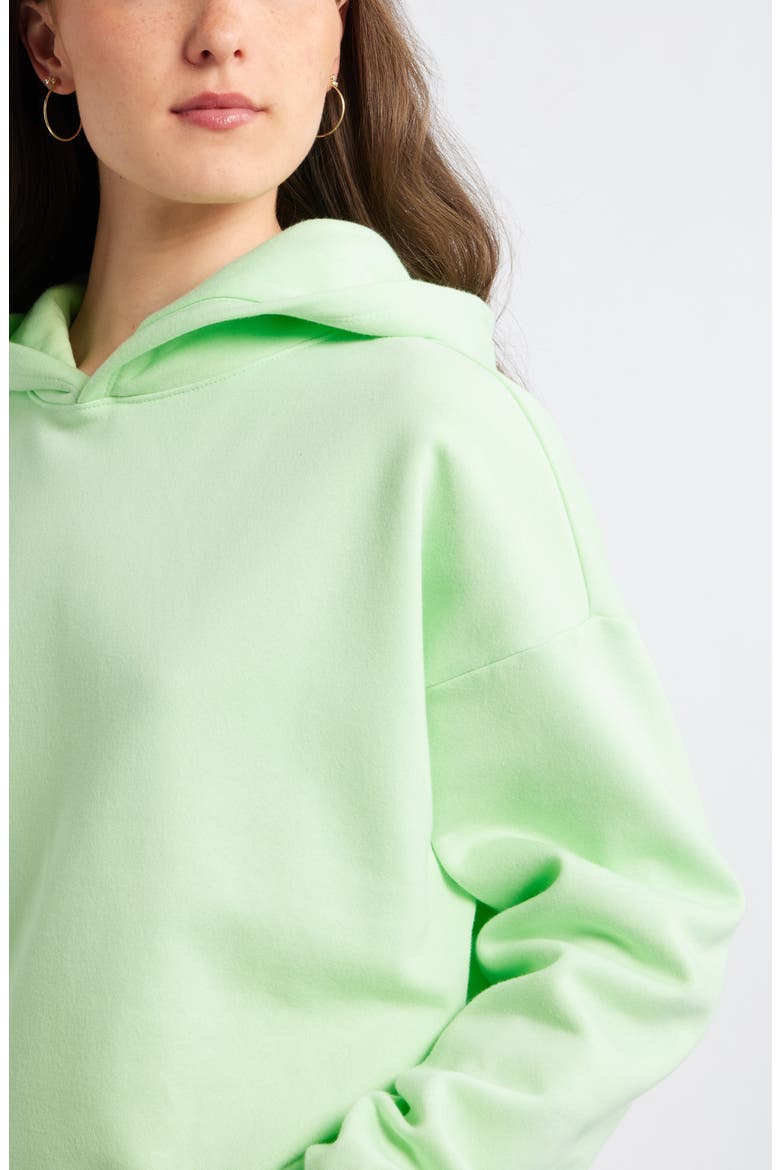 Relaxed Fleece Hoodie, Alternate, color, GREEN PATINA