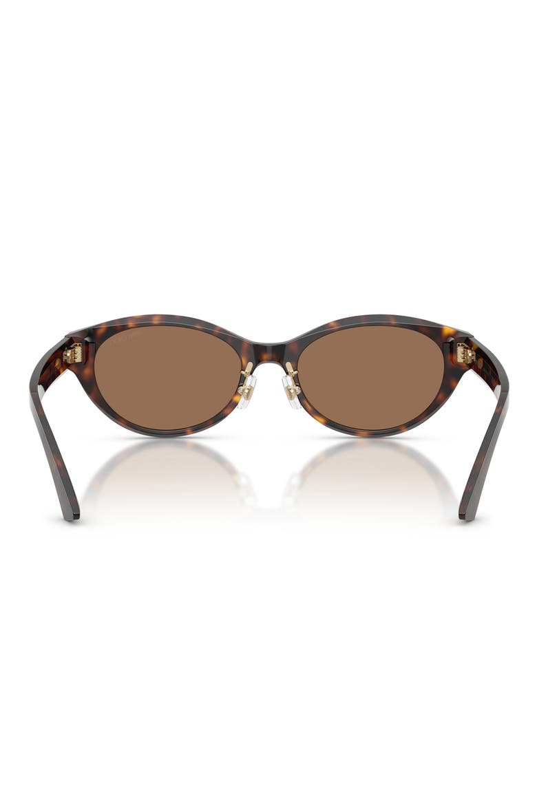 55mm Oval Sunglasses, Alternate, color, HAVANA / DARK BROWN