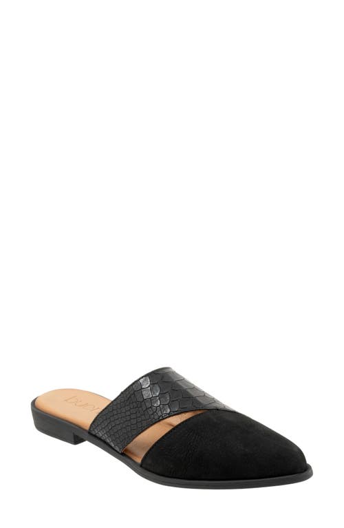 Bueno Blaze Pointed Toe Mule In Black