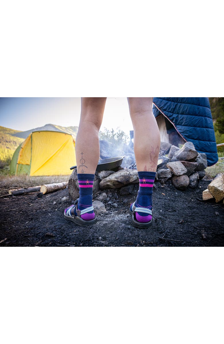 Smartwool Hike Light Cushion Tube Crew Socks, Alternate, color,