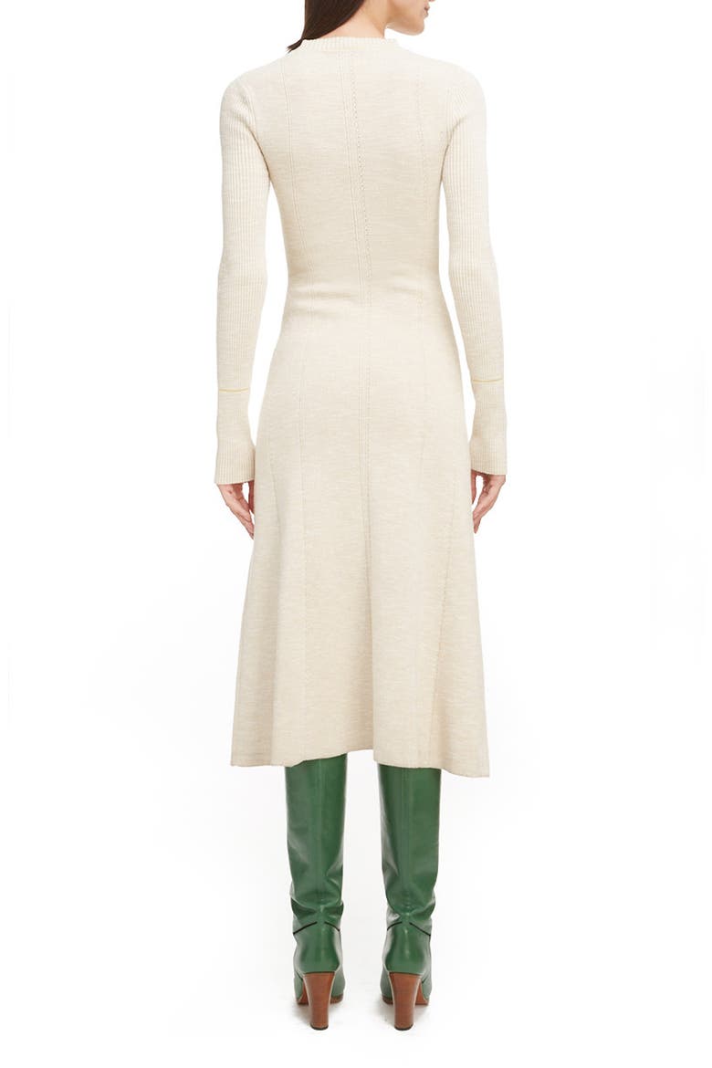 Long Sleeve Fit & Flare Sweater Dress, Alternate, color, BISCUIT/ LEMON
