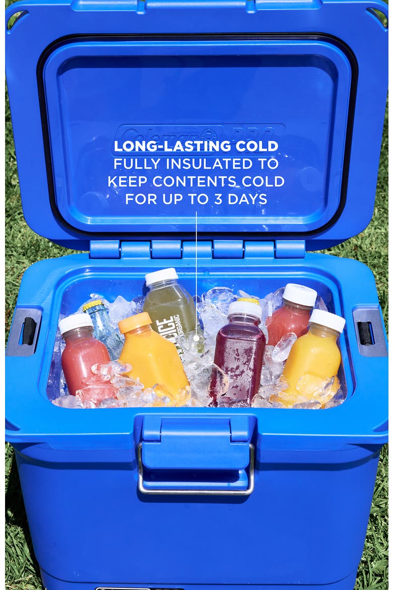 Pro Series 25-Quart Hard Cooler, Alternate, color, Neptune