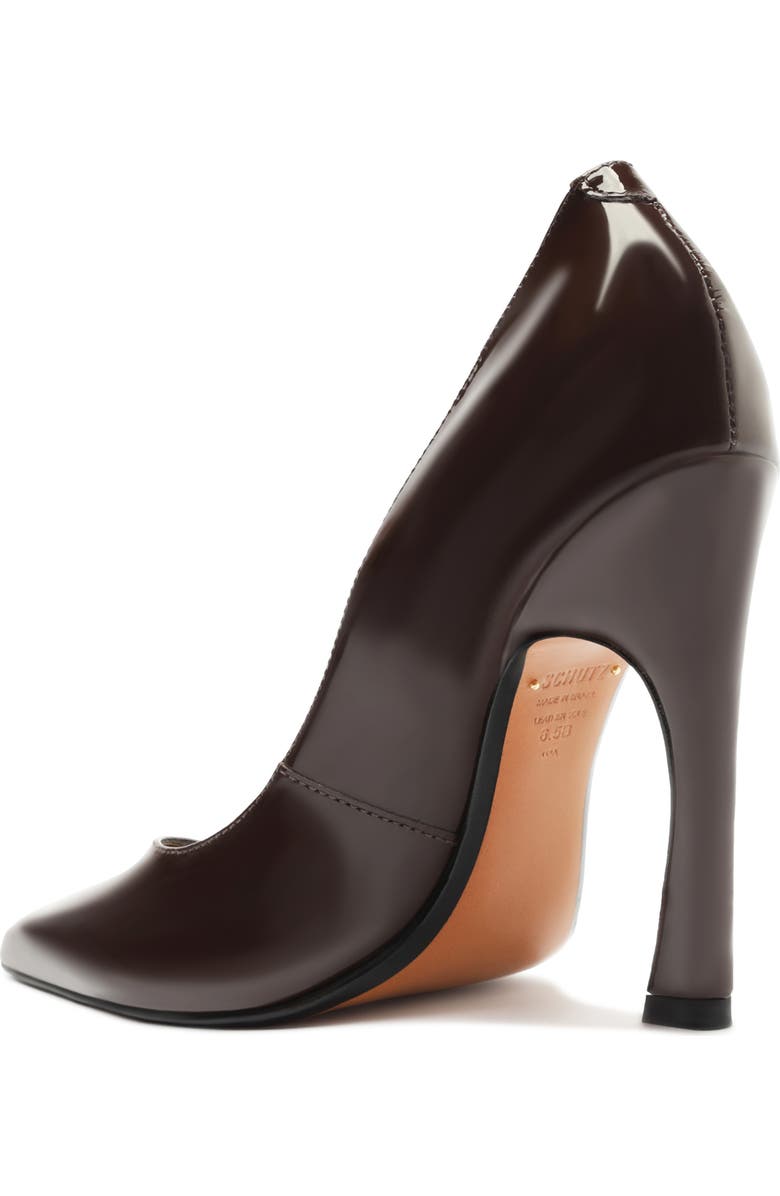 Schutz Lexi Pointed Toe Pump, Alternate, color, Chestnut Brown