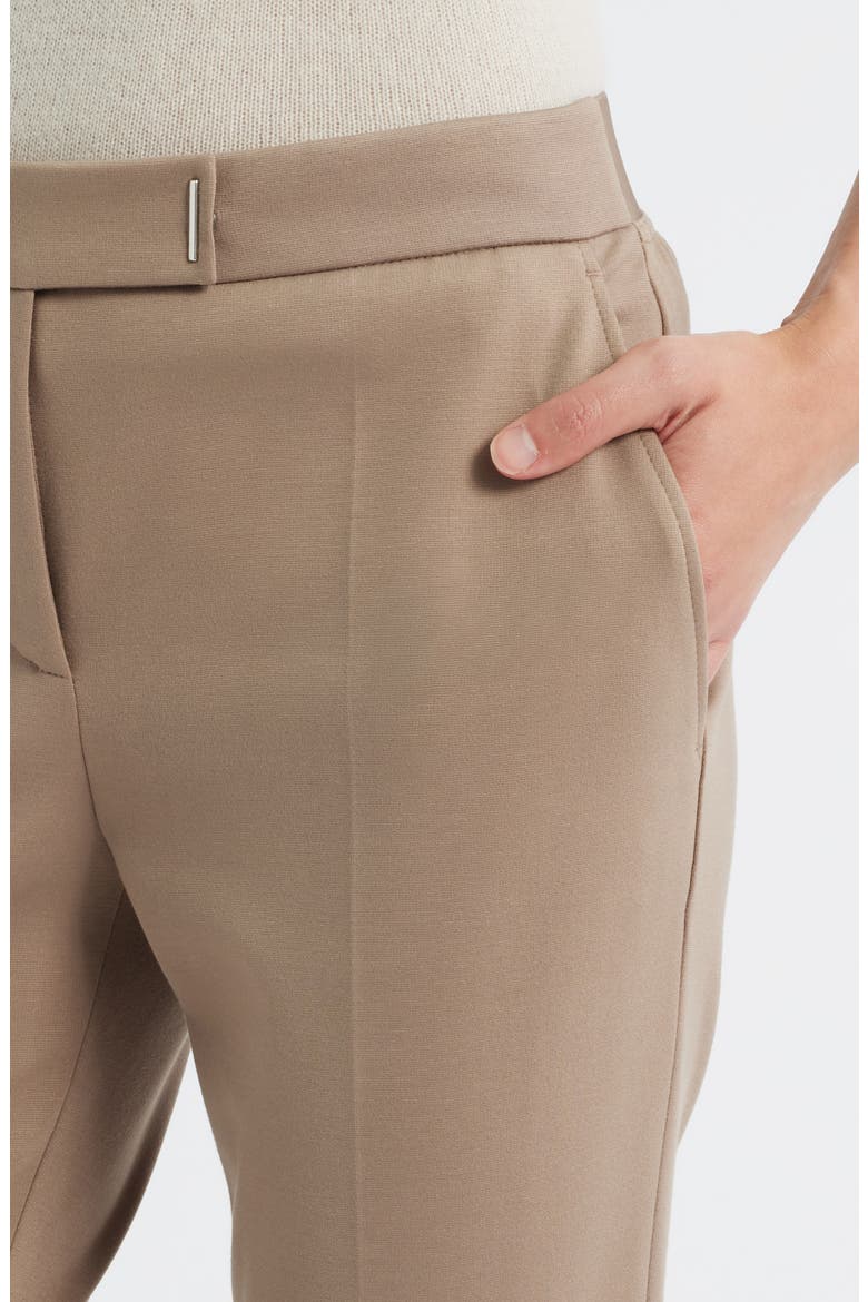 Tapria Straight Leg Pants, Alternate, color, OPEN BROWN