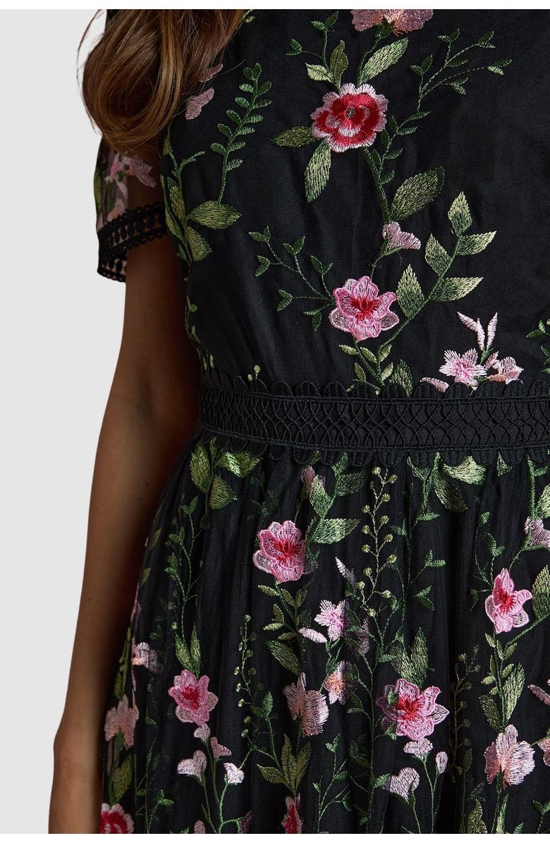 Coast Lace Trim Embroidered Mesh Midi Dress, Alternate, color, Black