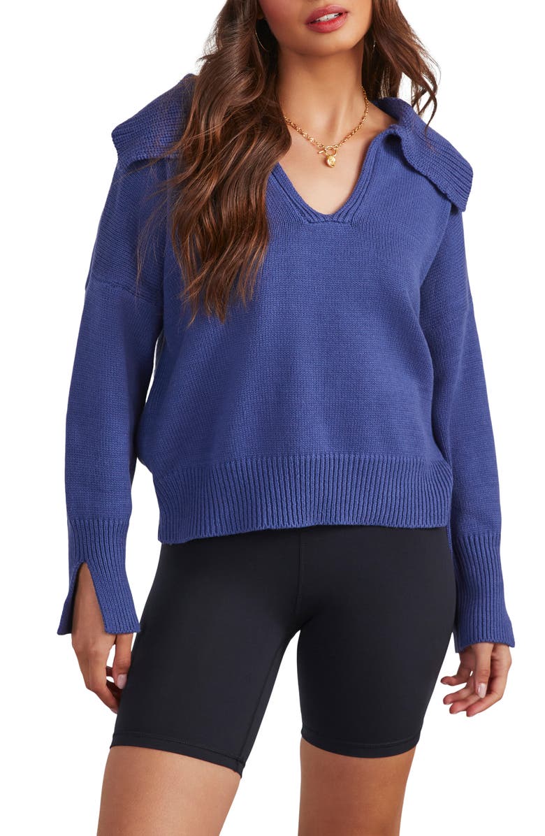 VICI Collection Avaleigh Collar Sweater, Main, color, 