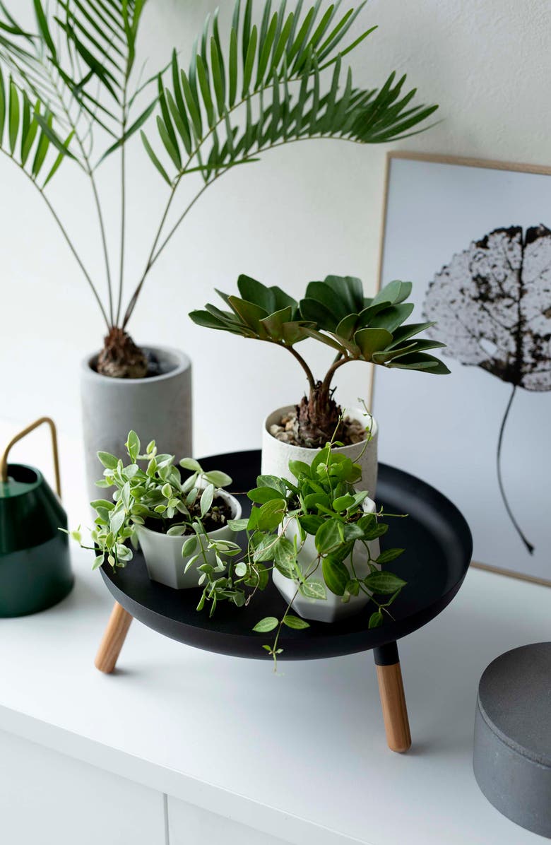 Yamazaki Three-Leg Tray Table, Alternate, color, Black