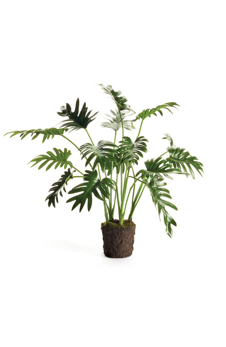 Napa Home & Garden Split Leaf Selloum Drop-In 22.5", Main, color, Green