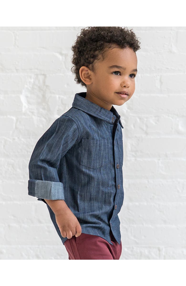 Kendi Hayes Chambray Long Sleeve Collared Shirt, Alternate, color, Chambray