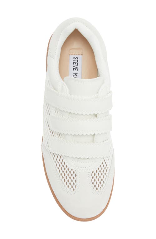 Steve Madden Momentum Sneaker In White
