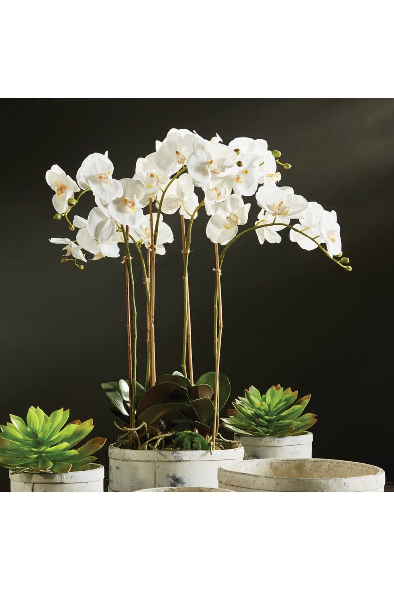 Phalaenopsis Orchid Faux (Fake) Bowl Drop-In 25", Alternate, color, White