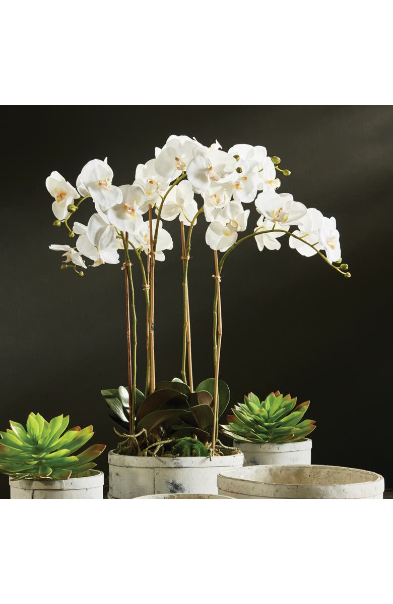 Napa Home & Garden Phalaenopsis Orchid Faux (Fake) Bowl Drop-In 25", Alternate, color, 