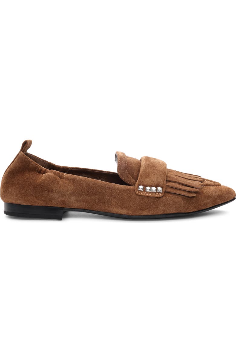 Ash Blitz Pointed Toe Loafer, Alternate, color,