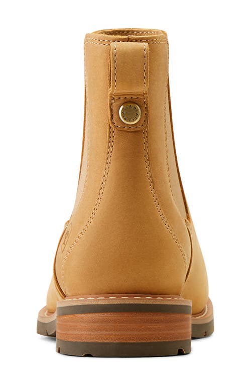 Ariat Wexford Waterproof Chelsea Boot In Brown