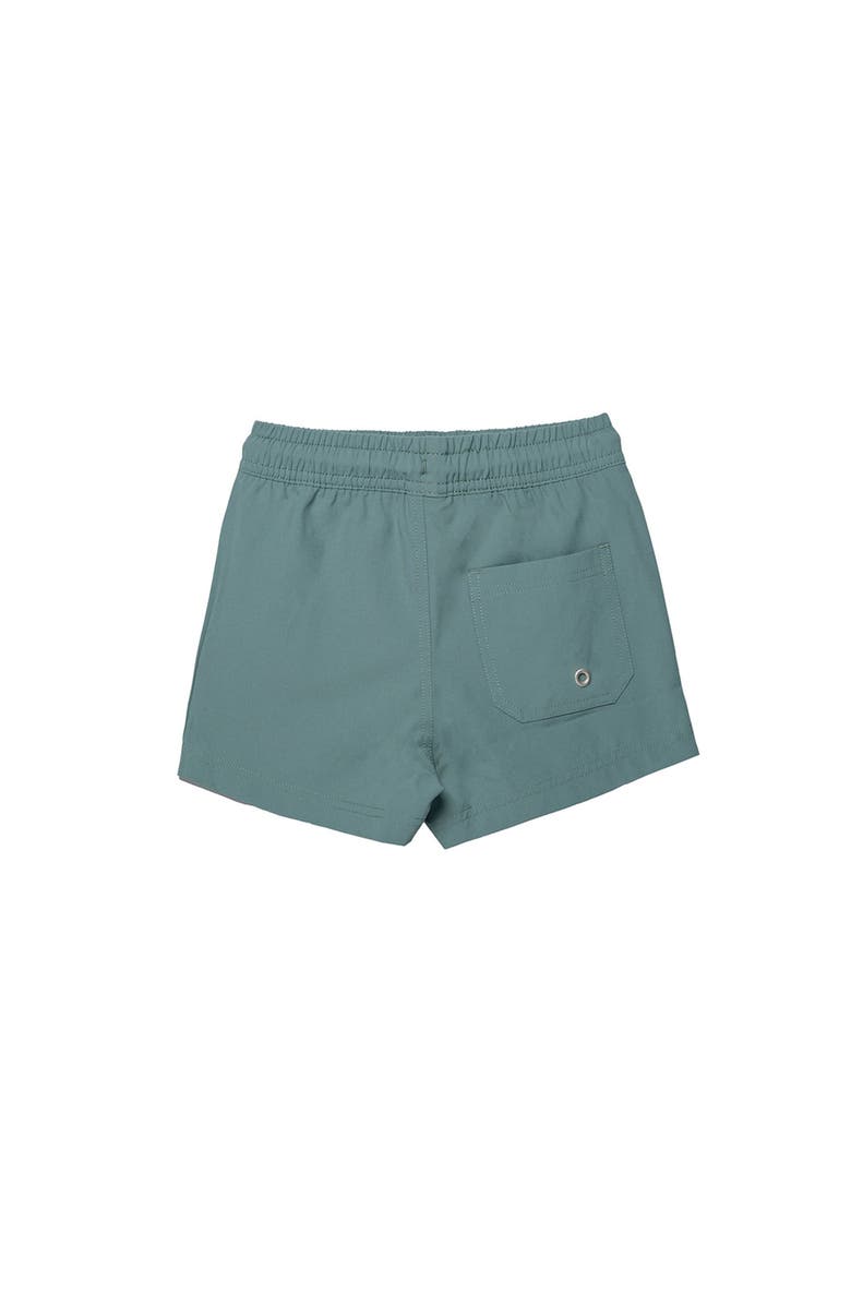 Gottex Kids Beach Scout Drawstring Swim Shorts, Alternate, color, Grey