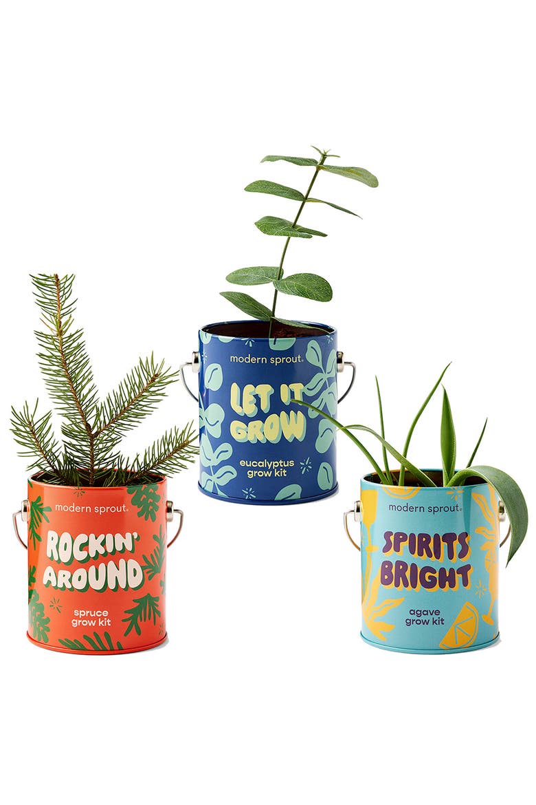 Holiday Complimentary Color Grow Kit 3 pack, Alternate, color, Assorted