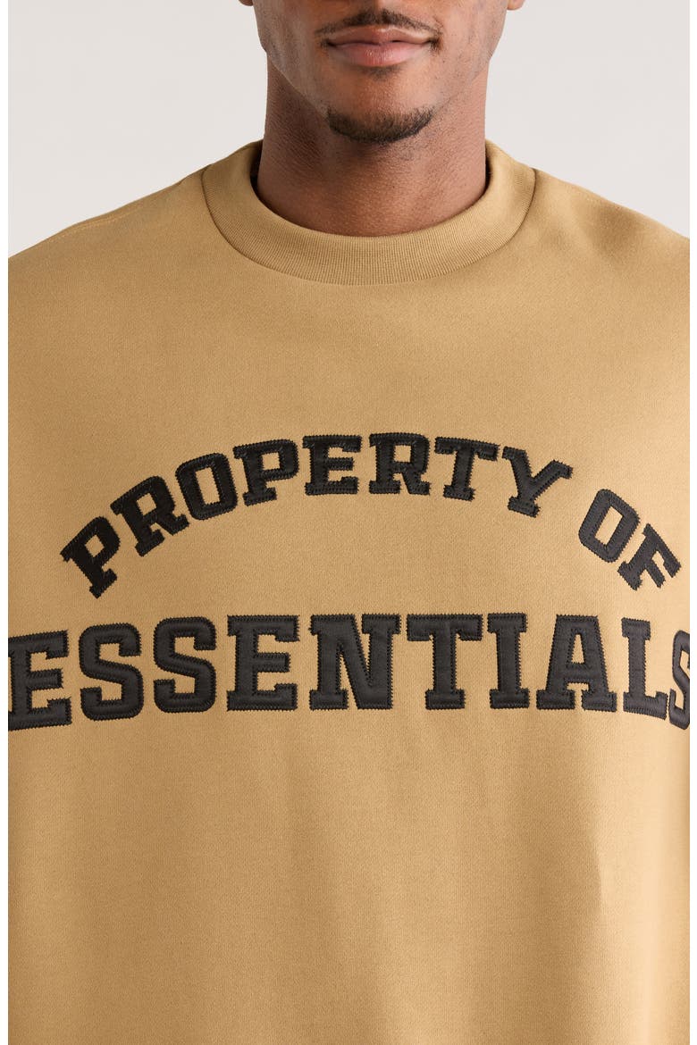 Property Graphic Print Crewneck Sweatshirt, Alternate, color, DUNE