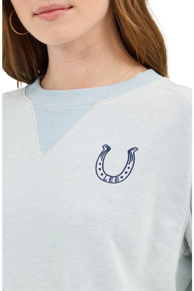 Horsehoe Logo Raglan Sleeve Cotton Blend Sweatshirt, Alternate, color, DEWY/ EMBROIDERY