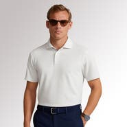 Cole Haan Golf Apparel Ashland Polo
