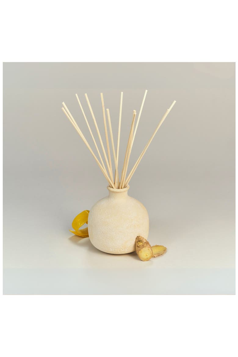 Happiness Small Ceramic Reed Diffuser, Alternate, color, NO COLOR