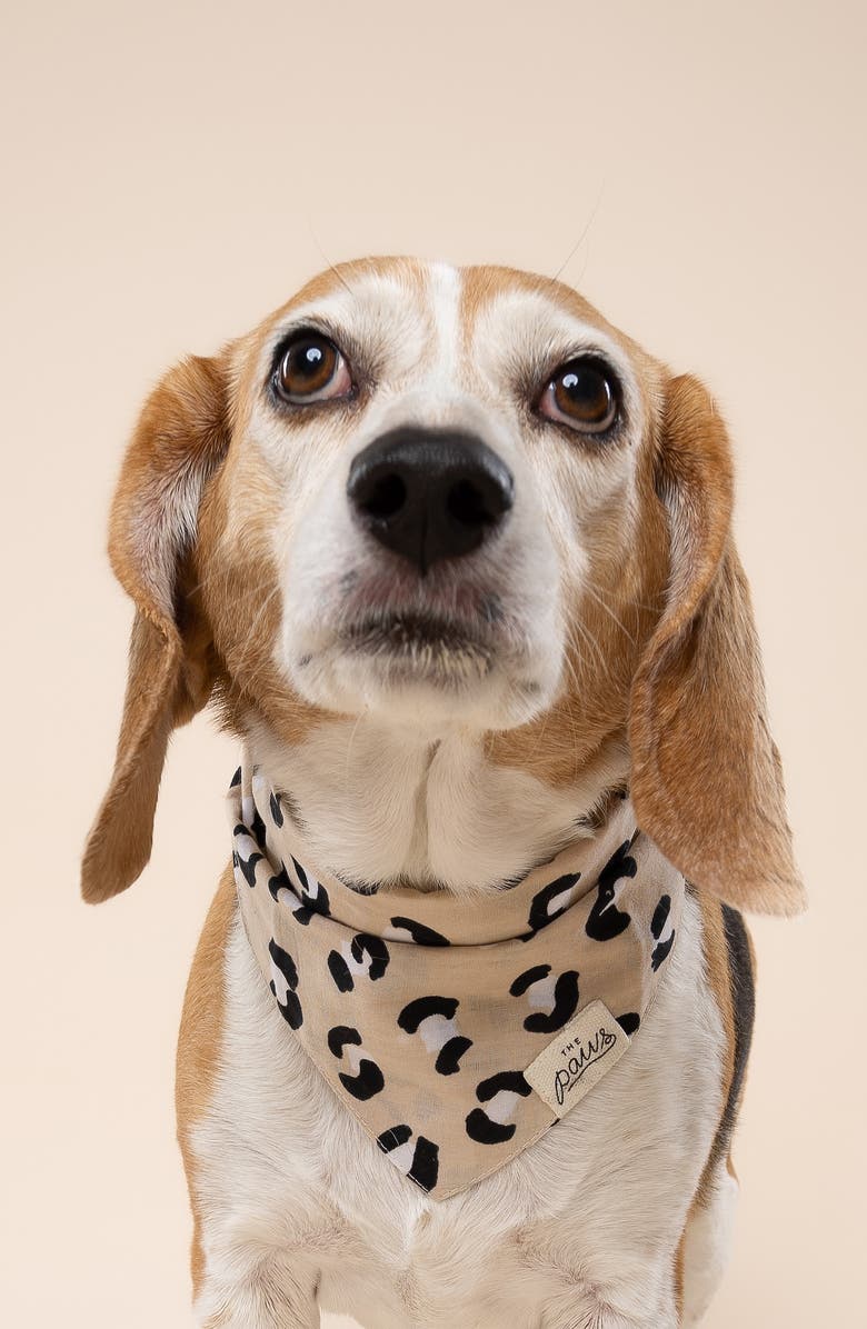 The Paws Urban Dog Bandana, Alternate, color, Beige
