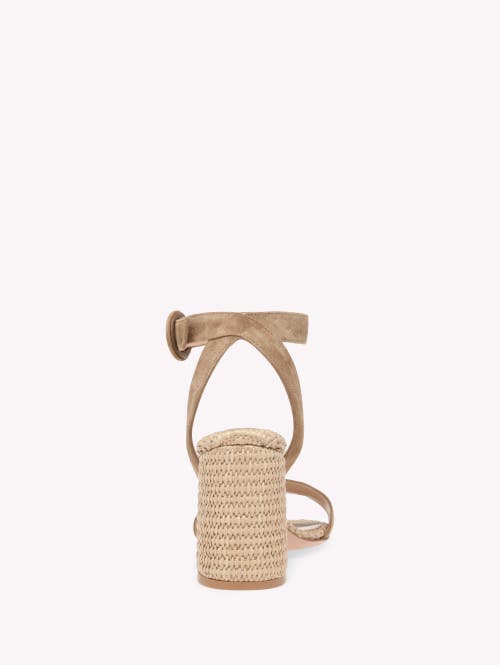 Shop Gianvito Rossi Luana Sandals In Brown