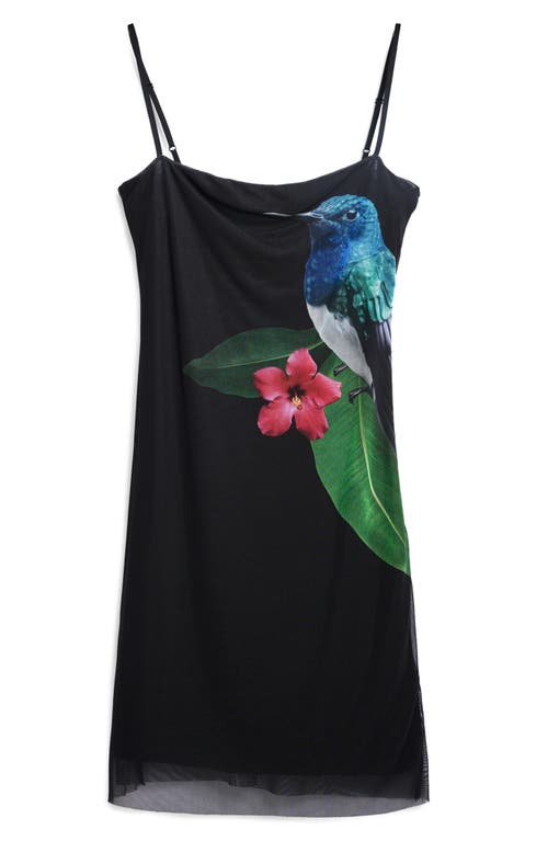 Desigual Stretch Mesh Cover-up Minidress In Black