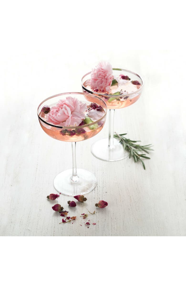 TWINE Copper Rim Crystal Coupes Set of 2, Alternate, color, Clear