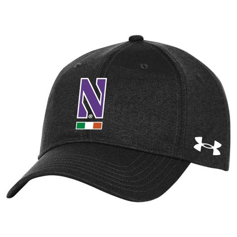 Men's Under Armour  Black Northwestern Wildcats Ireland  Adjustable Hat