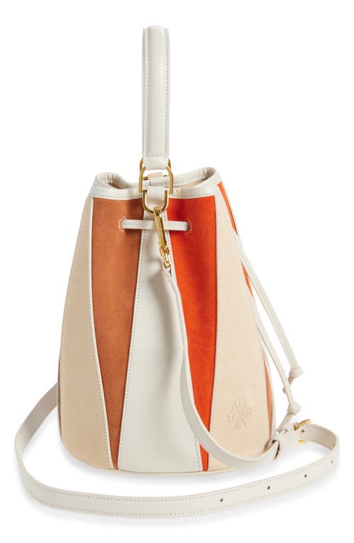 Altuzarra Small Drum Mixed Leather Bucket Bag In Multi