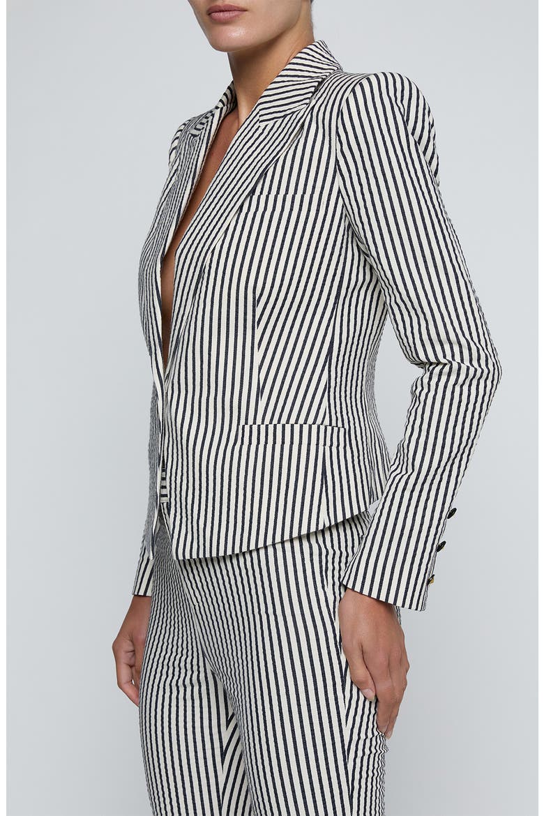 Misa Stripe Blazer, Alternate, color, IVORY/ MIDNIGHT STRIPE
