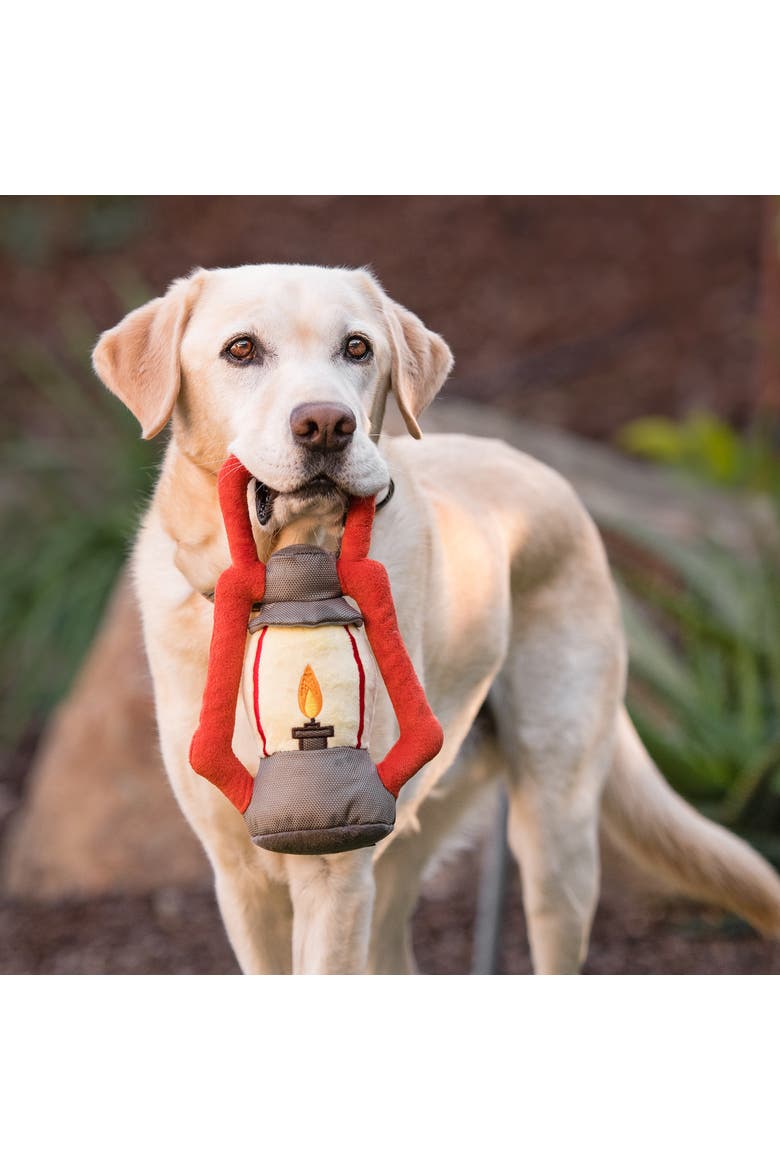 Camp Corbin Pack Leader Lantern, Plush Dog Toy, Squeaker, Crinkle, Alternate, color, Multicolored