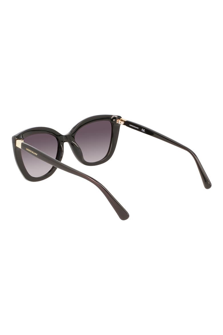 Le Pilage 54mm Rectangular Sunglasses, Alternate, color, BLACK