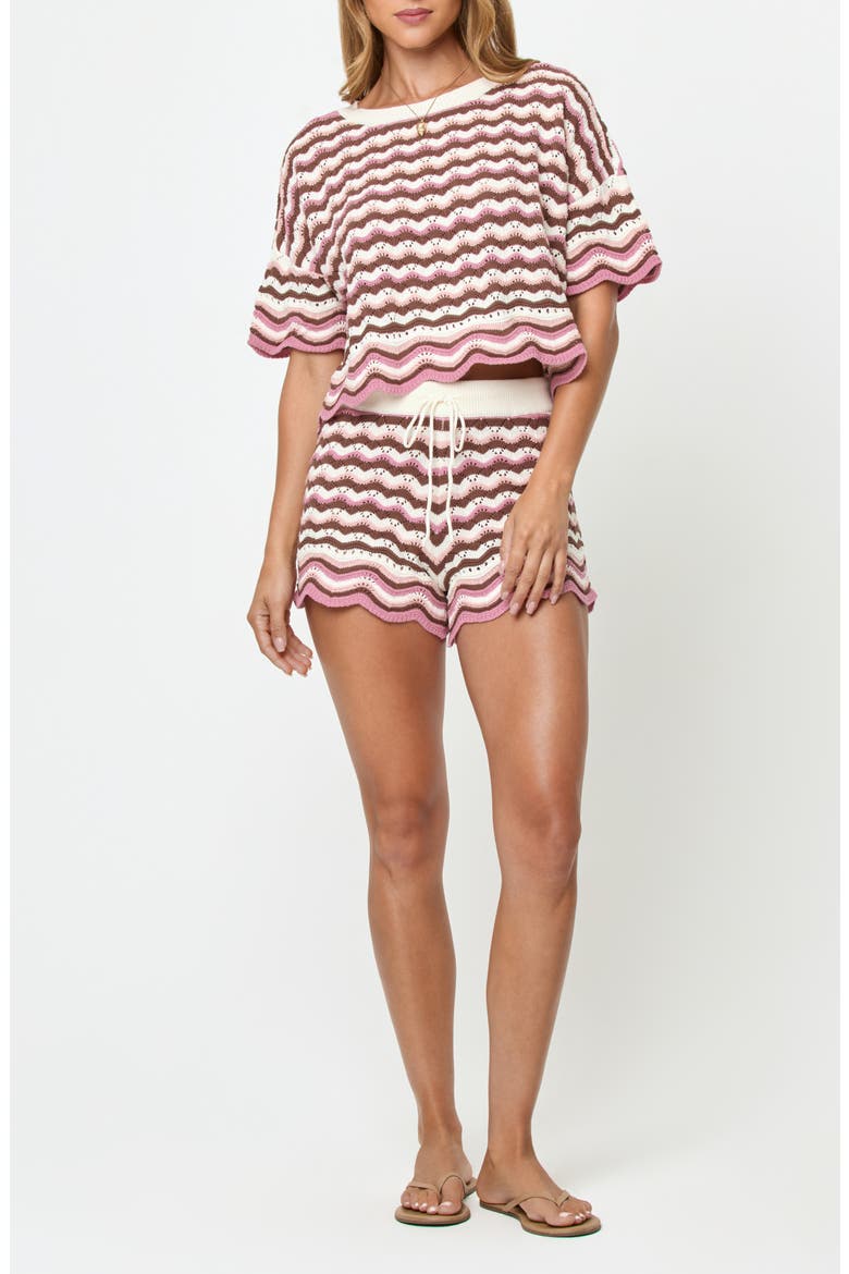 Sun Chaser Stripe Cotton Cover-Up Shorts, Alternate, color, NEAPOLITAN