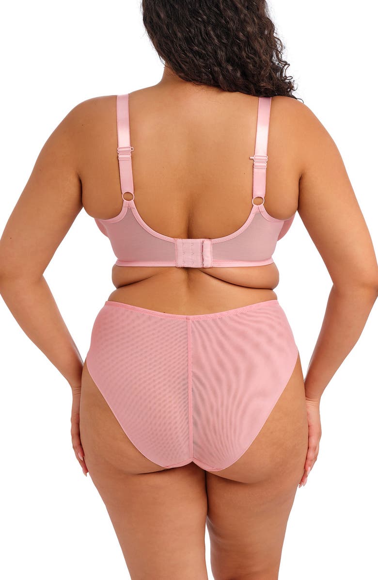 Elomi Aerith Embroidered Briefs, Alternate, color, Rose