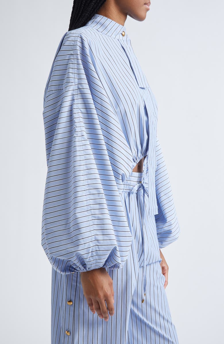 Zimmermann Stripe Poplin Crop Top, Alternate, color, Hydrangea Stripe