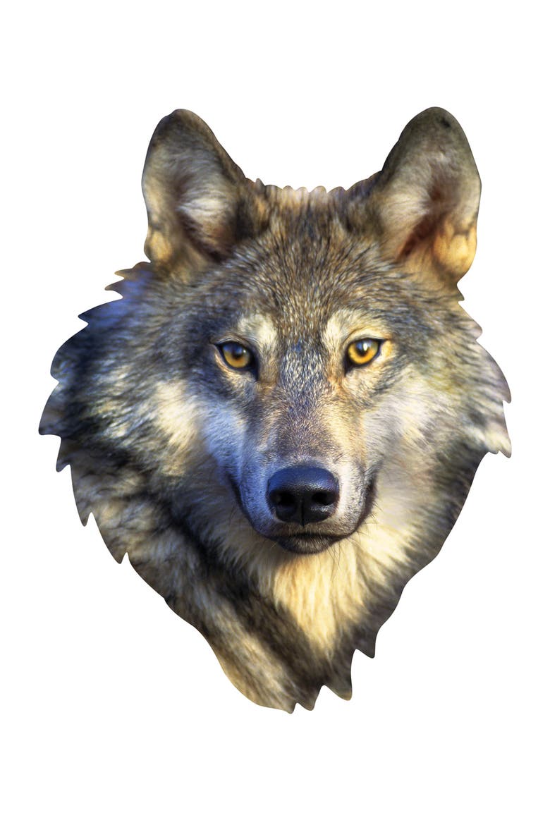 Wolf 100 Piece Shaped Jigsaw Puzzle, Alternate, color, Multicolor