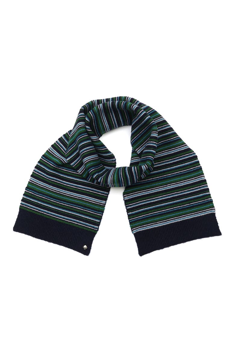 Garter Stitch Stripe Scarf, Main, color, FRENCH NAVY MULTI