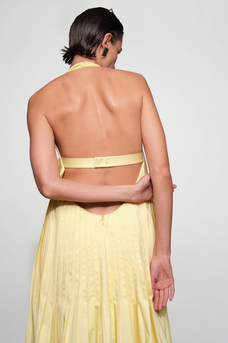 Blythe Maxi Dress, Alternate, color, Butter
