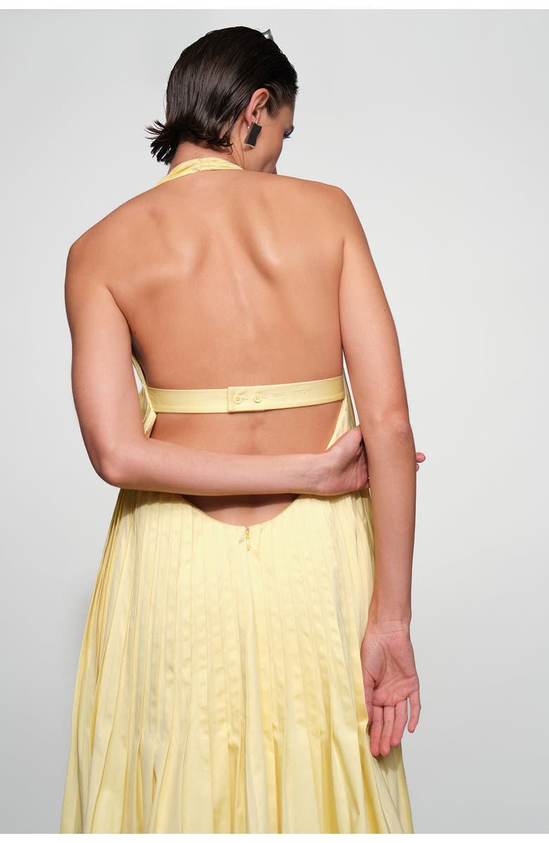 Et Ochs Blythe Maxi Dress, Alternate, color, Butter