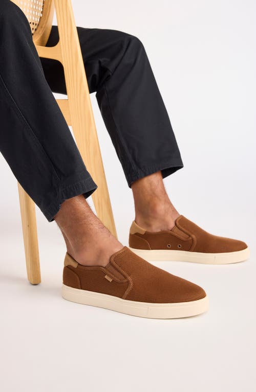Toms Baja 2.0 Sneaker In Brown