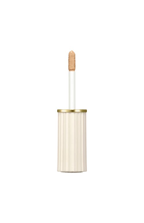Paul & Joe Concealer