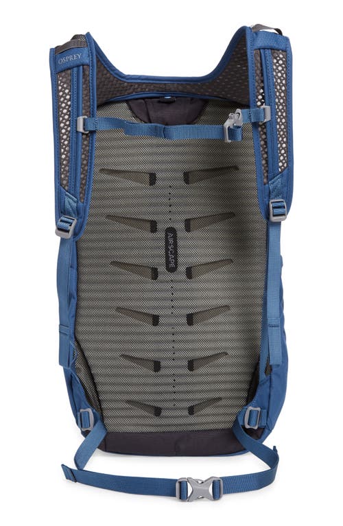 Osprey Daylite Plus Backpack In Blue Spikemoss/alkaline