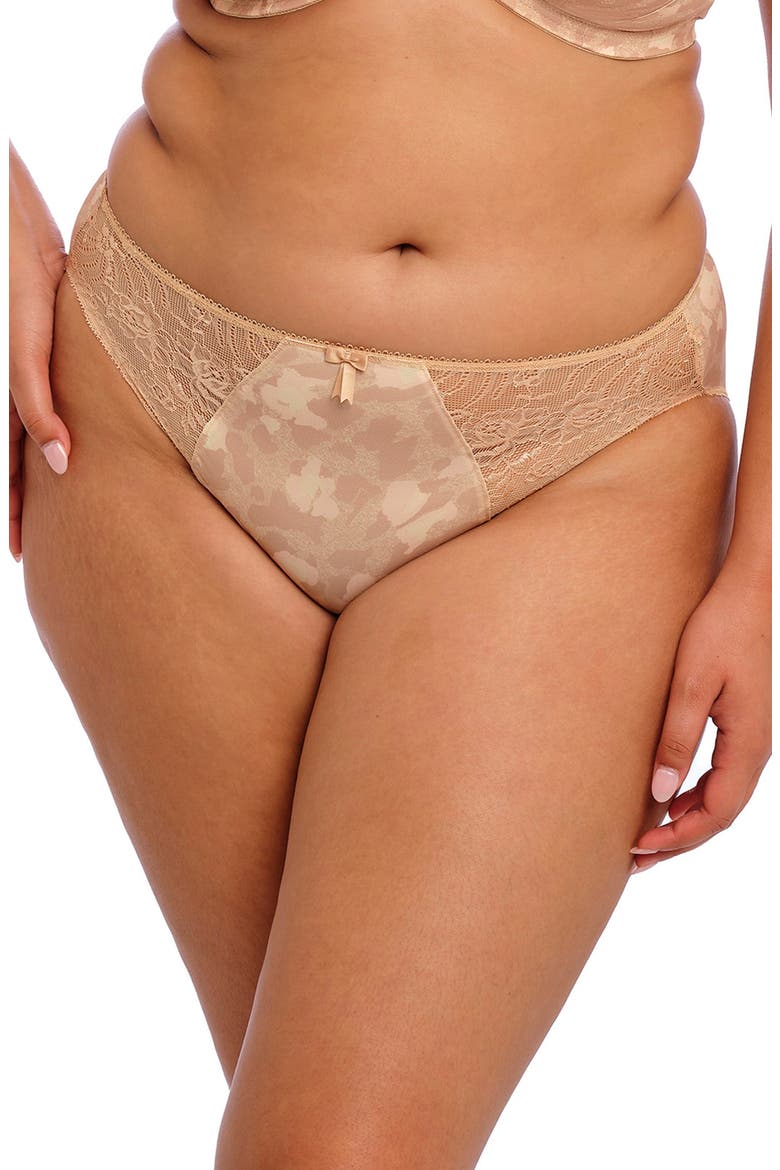 Morgan Full Figure Briefs, Main, color, TOASTED ALMOND