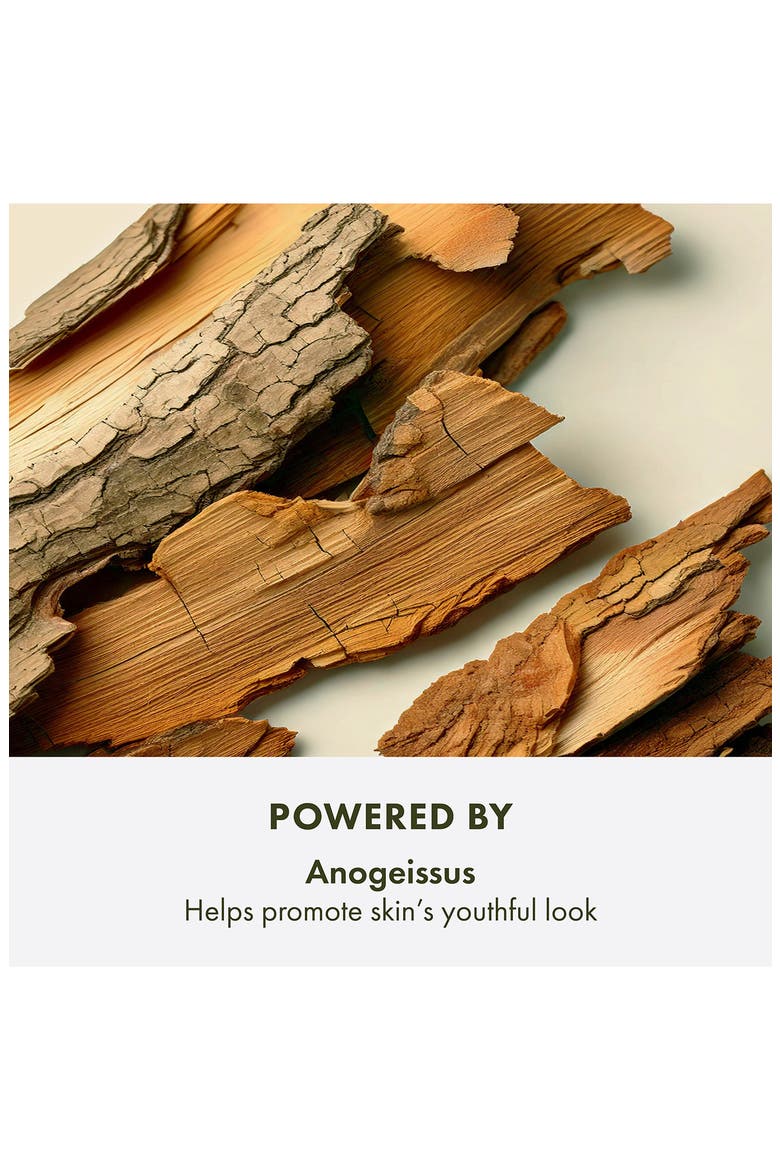 Plantscription™ Youth Renewing Power Night Cream Moisturizer, Alternate, color, NO COLOR