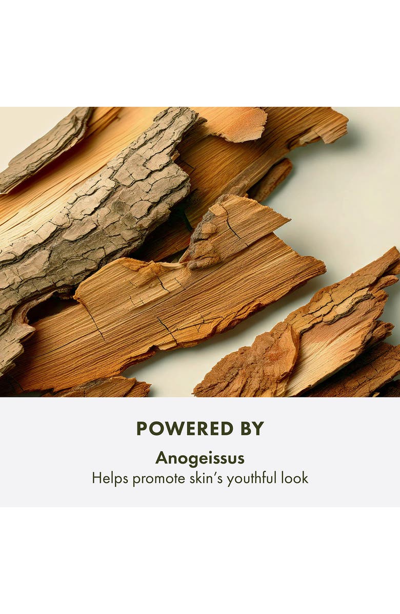 Origins Plantscription<sup>™</sup> Youth Renewing Power Night Cream Moisturizer, Alternate, color, 