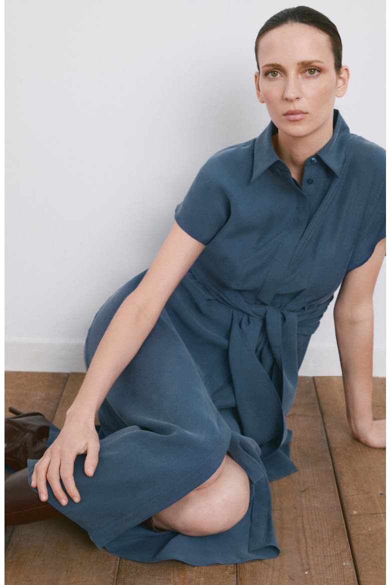 Belted Shirtdress, Alternate, color, BLUE