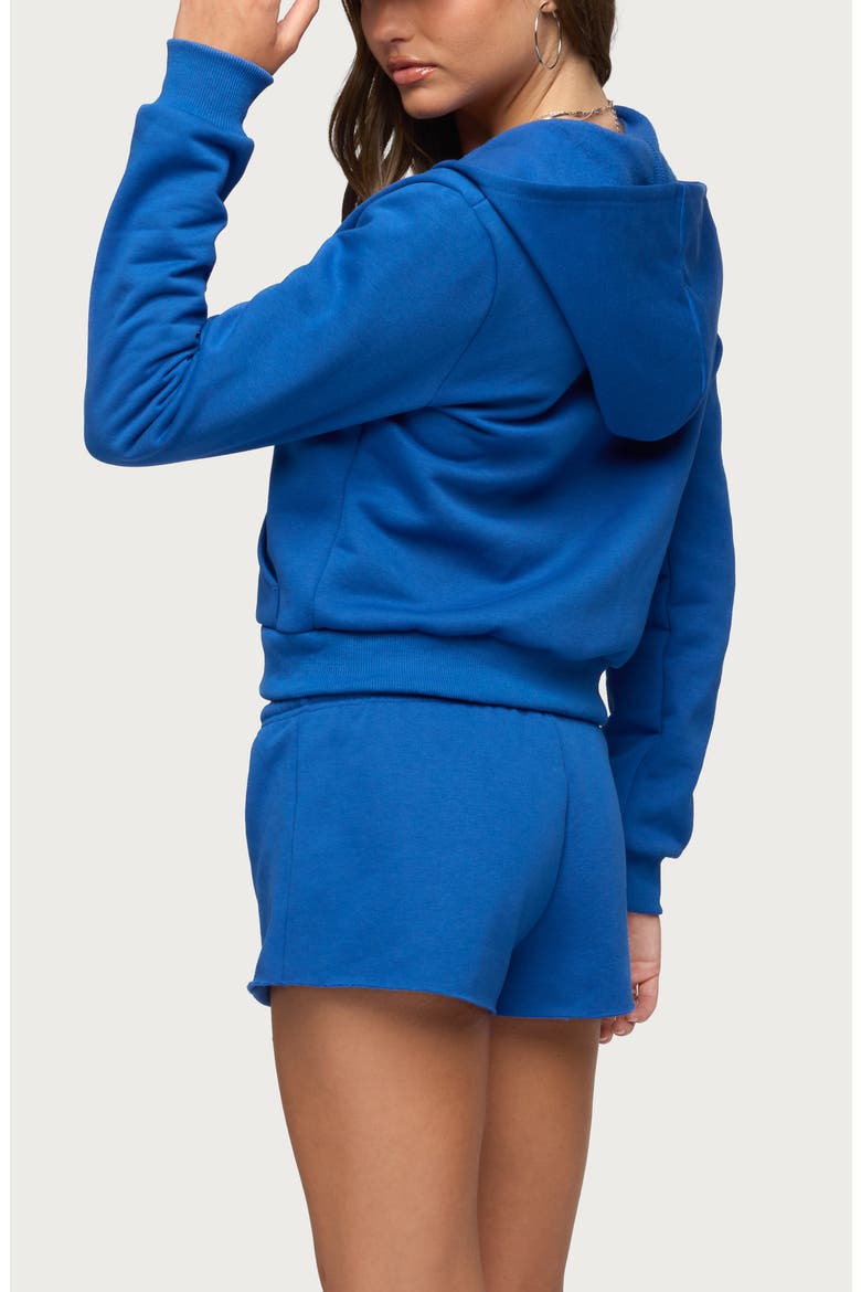 Lynette Zip-Up Hoodie, Alternate, color, BLUE