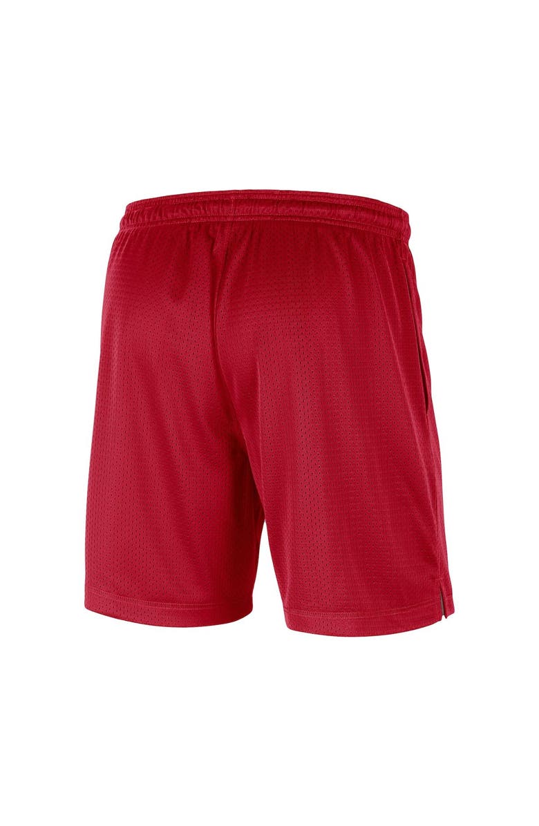 NIKE X LEBRON JAMES Men's Nike x LeBron James Scarlet/Gray Ohio State Buckeyes Reversible Performance Shorts, Alternate, color, 