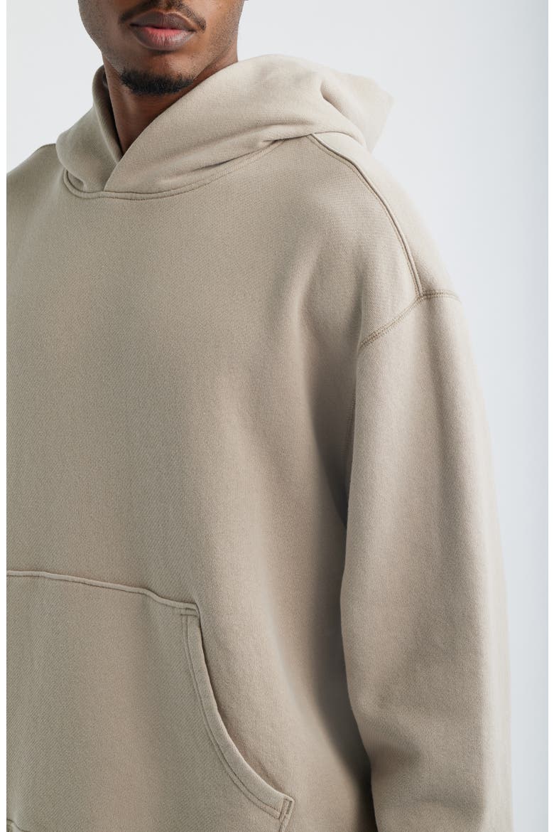 Organic Cotton Hoodie, Alternate, color, TAN